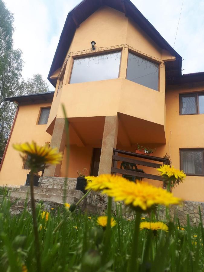 Casa Ionel Si Dani Villa Fundata Exterior photo